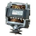 Motor Lavadora Roupa Brastemp 220v Iz44rbbs1 Fiat Mobi 220v