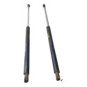 Amortecedor Tampa Traseira Peugeot 307 2002 A 2010 Par Cx174