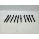 Jogo Parafuso Cabeçote Peugeot 307 2.0 16v 2003/2008 Cx175