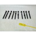 Jogo Parafuso Cabeçote Peugeot 307 2.0 16v 2003/2008 Cx175