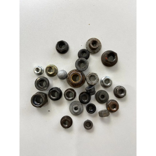 Kit 25 Porcas Sortidas Automotivo 220 Preto