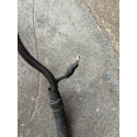 Chicote Positivo Bateria Cruze Hatch 1.4 2017 2018 2019