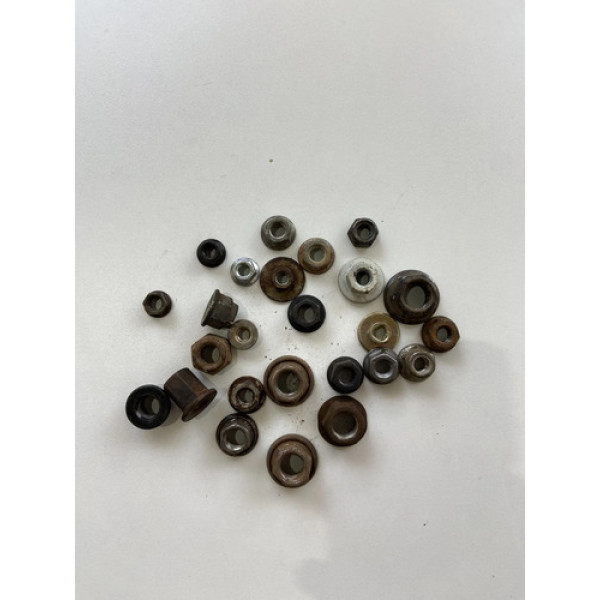 Kit 25 Porcas Sortidas Automotivo 217 Preto