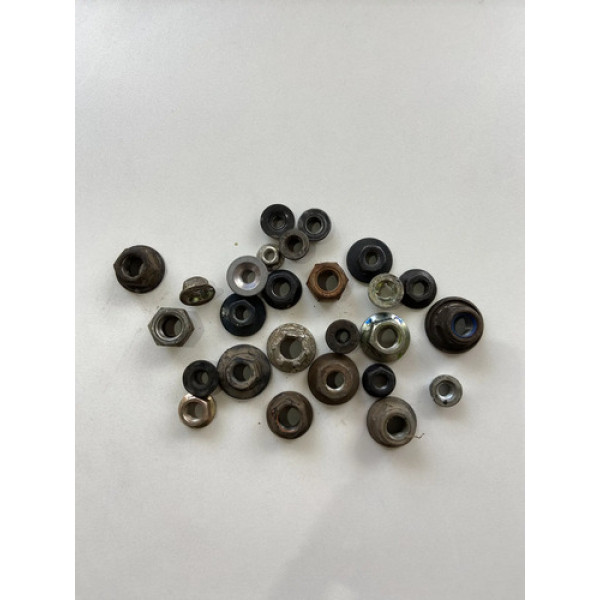 Kit 25 Porcas Sortidas Automotivo 202 Preto