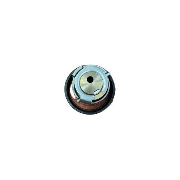 Tensor Da Correia Dentada Range Rover Sport 3.0 2012