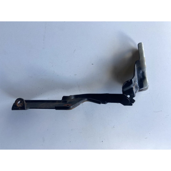Dobradiça Capô L.e Citroen C4 Pallas Hatch