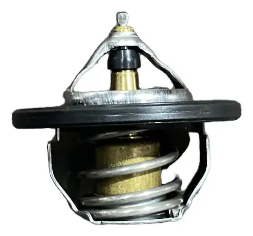 Válvula Termostática Do Motor Hyundai Creta 1.6 2023 2024